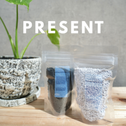 春の模様替えキャンペーン